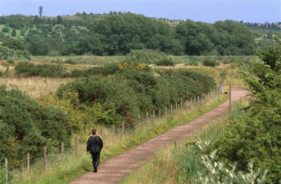 Dearne Valley, prime willow tit habitat. Image by Andy Hay (rspb-images.com)