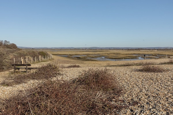 Church Norton spit, RSPB Pagham Harbour with shingle leading down to wetland areas