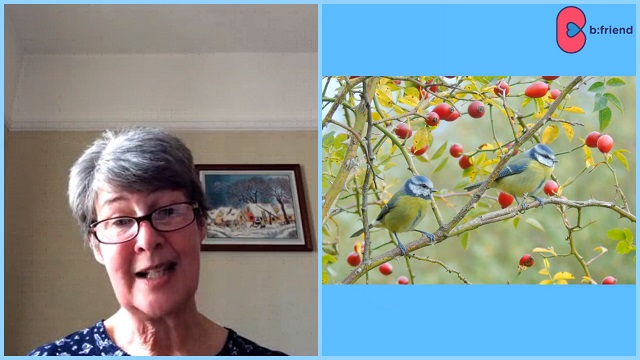 Helen Ensor's garden birds talk to BFriend