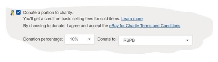 eBay screenshot showing how to fundraise for charity