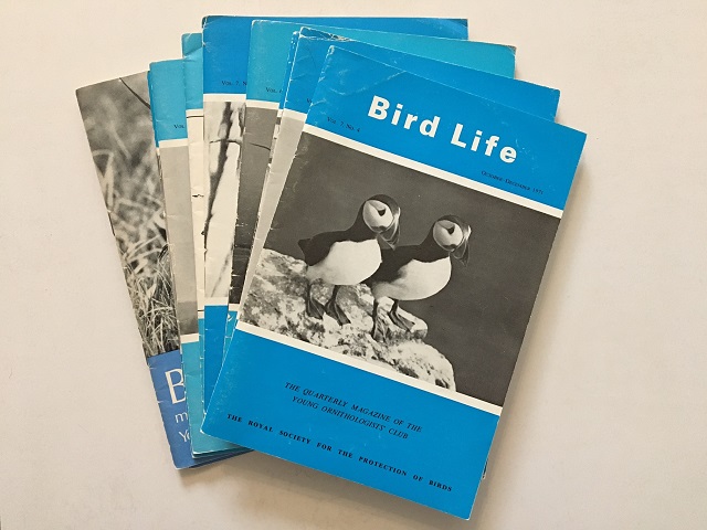 Copies of Bird Life magazine - Jamie Wyver