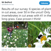 Surveying your School Grounds for Biodiversity
