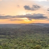 Panoramic view of rainforest from the air