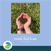 Sustainable future at the Little Owl Café, St Aidan’s nature Park