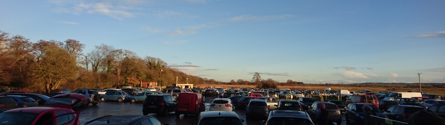 Top Tips for Visiting the Avalon Marshes Starling Roost