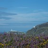 RSPB South Stack, why is the building work taking place now?