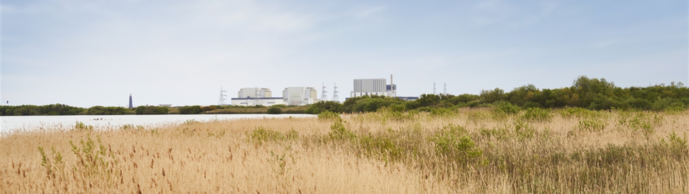 Changes at RSPB Dungeness