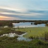 World Wetlands Day: Why are Wetlands so Special?