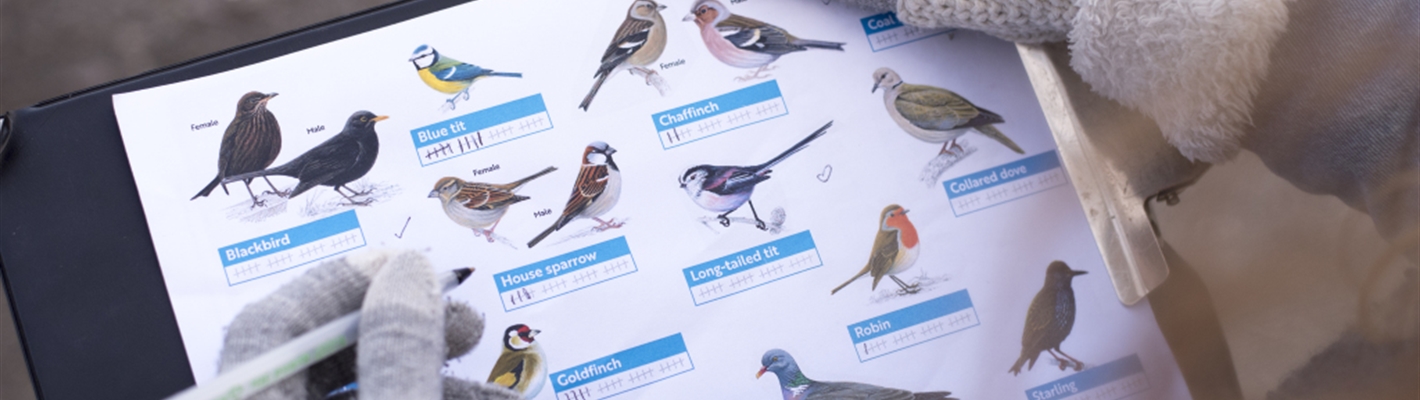 Time to get ready for your next Big Garden Birdwatch 2024