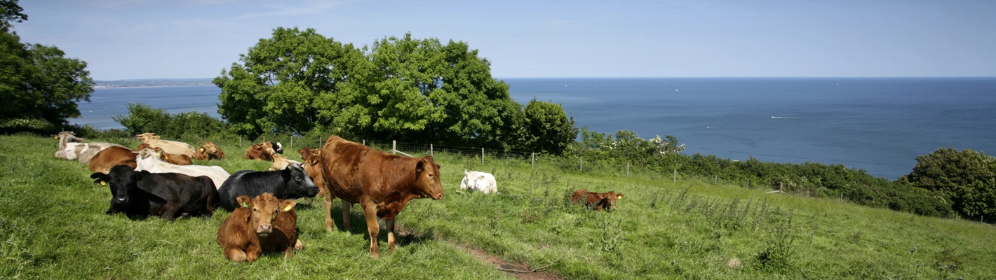 High Ambitions for Nature Friendly Farming?