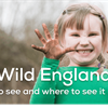Wild England: What to see and do this July