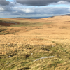Dartmoor – the canary in the coalmine?