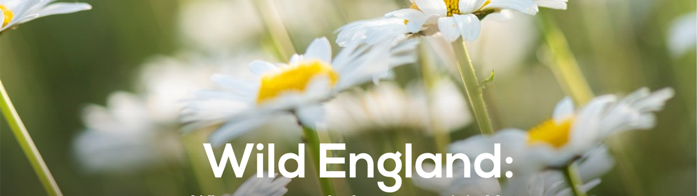 Wild England: What to see and do this May.