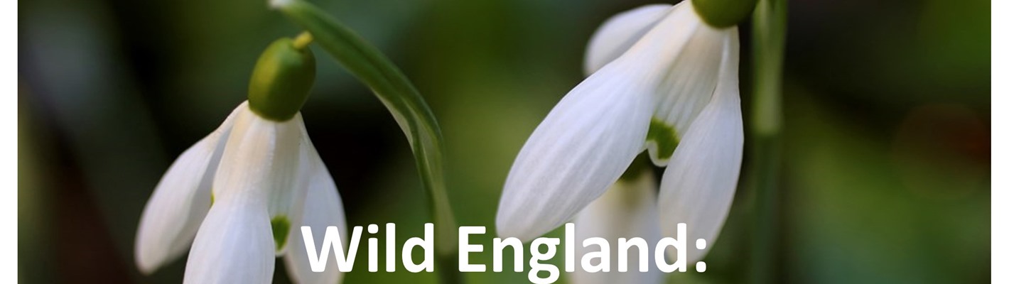 Wild England: Let nature be your Valentine this February