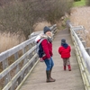 Family on reedbed boardwalk at RSPB Minsmere 