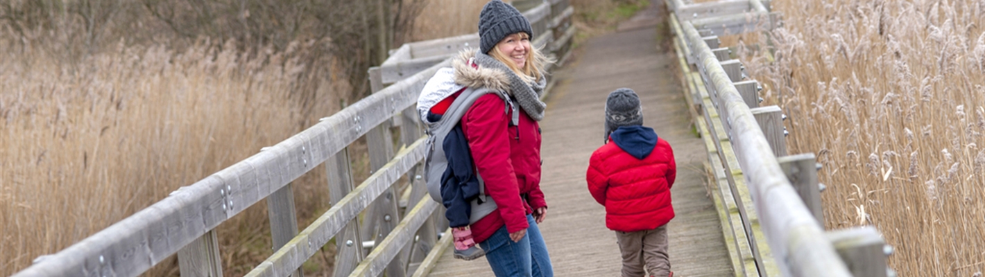 Family on reedbed boardwalk at RSPB Minsmere 