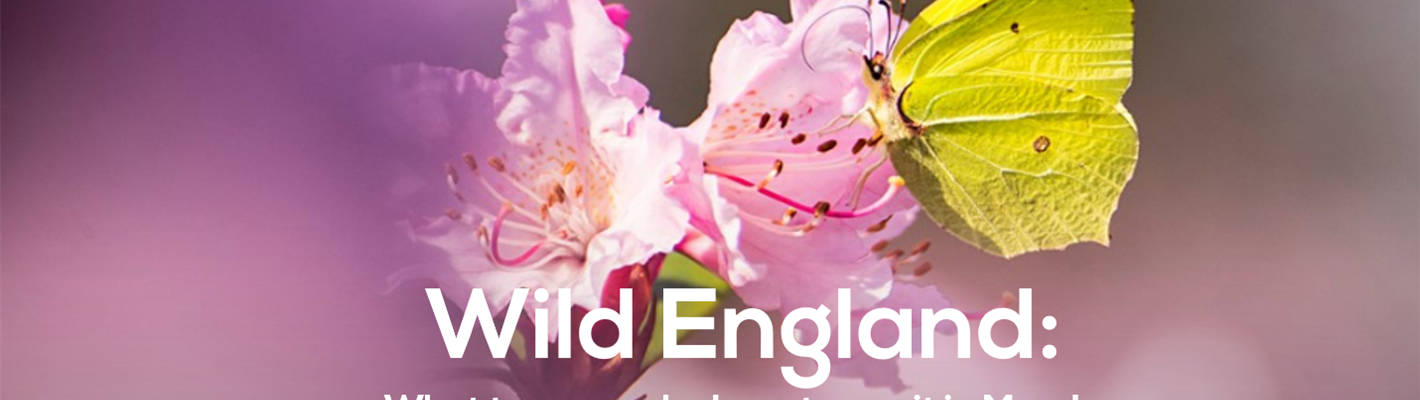 Wild England: What to see and do this March.