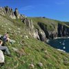 Celebrating Seabird Success on the Island of Lundy and the Isles of Scilly