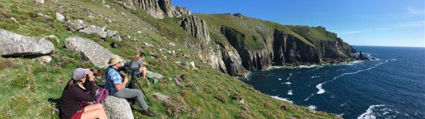 Celebrating Seabird Success on the Island of Lundy and the Isles of Scilly