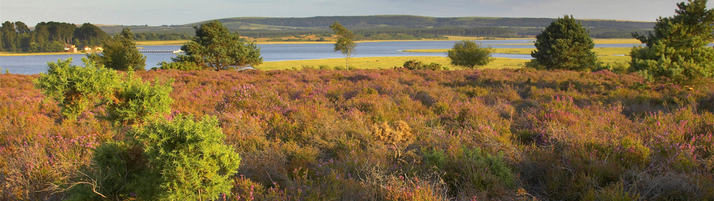 A nature rich future for our Protected Landscapes?