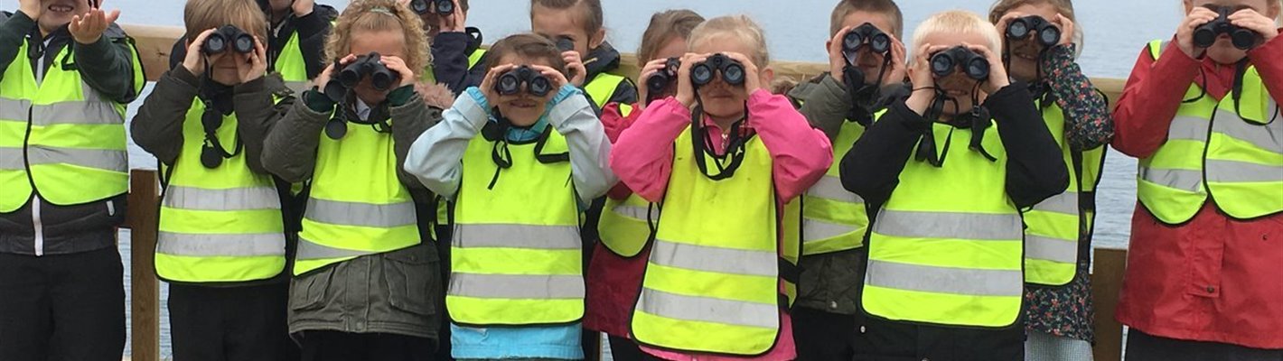 Calling all teachers! School trips are back on the curriculum at RSPB nature reserves in England