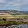 How Wader Wardens are protecting threatened birds in the Peak District