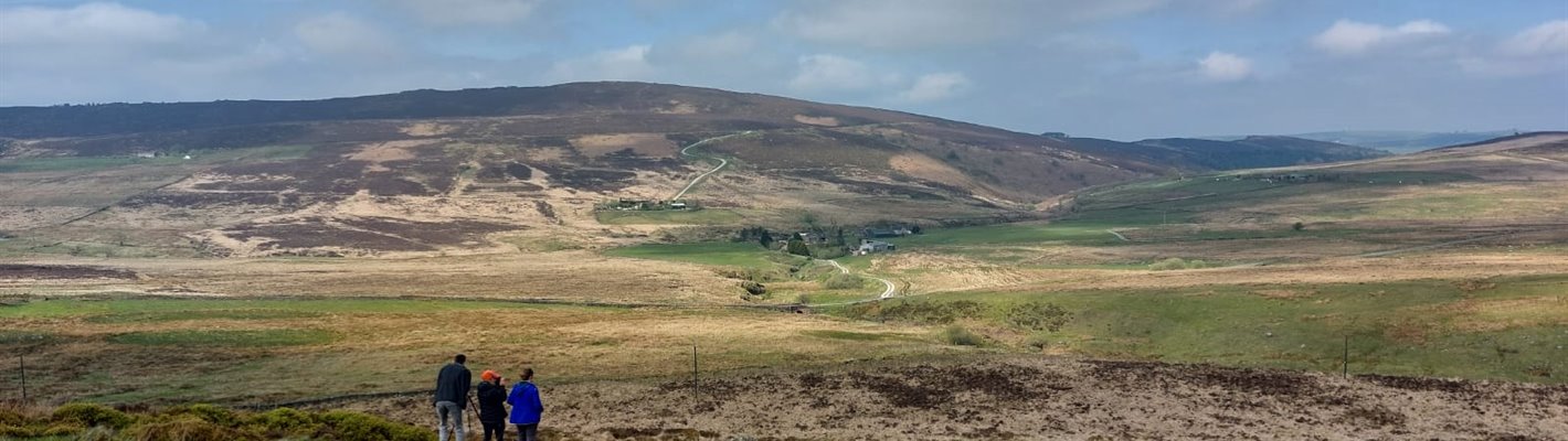 How Wader Wardens are protecting threatened birds in the Peak District