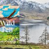 Wild Fell, a story of nature and people in our uplands