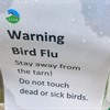 Information and guidance over the bird flu outbreak at RSPB Geltsdale
