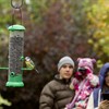 Join us for Big Garden Birdwatch 2019!