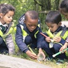 Learning about wildlife; rain or shine!