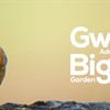 Big Garden Birdwatch preparation