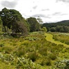 Mae lleoliadau gorau Cymru ar gyfer natur hefyd yn dal symiau enfawr o garbon - dyma reswm arall dros eu gwarchod