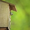 Giving nature a home on National Nest Box Week