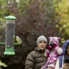 Get ready for Big Garden Birdwatch!