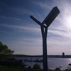 A flagship home for swifts in Cardiff Bay