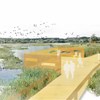 Planning for the Future at RSPB Baron&#39;s Haugh
