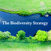 Northern Ireland’s Biodiversity Strategy, what is it and why does it matter?