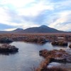 25 years of RSPB Scotland in the Flow Country