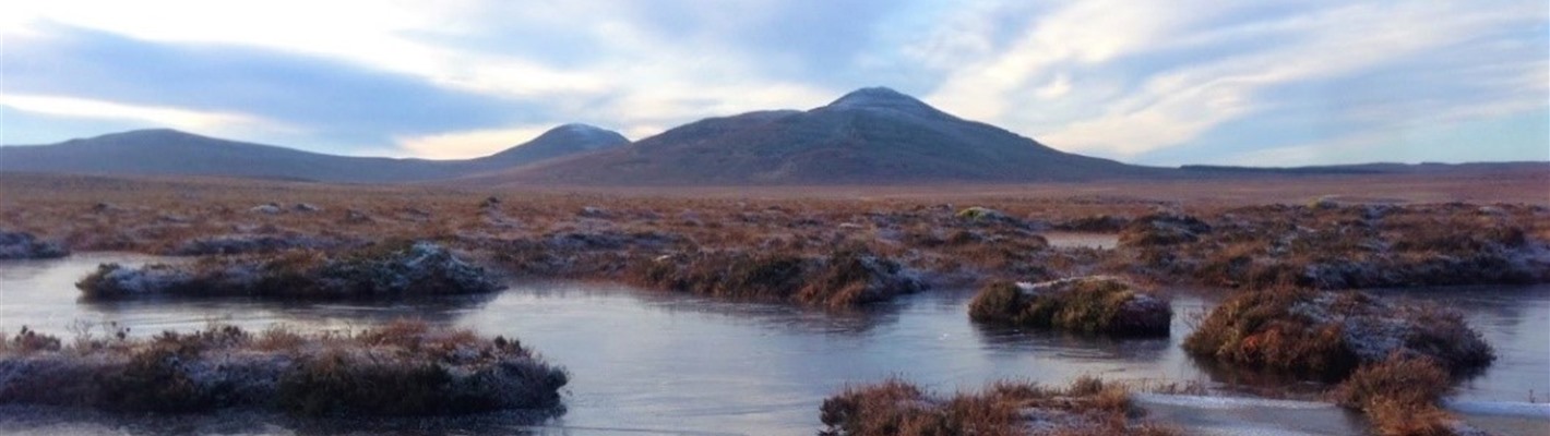 25 years of RSPB Scotland in the Flow Country