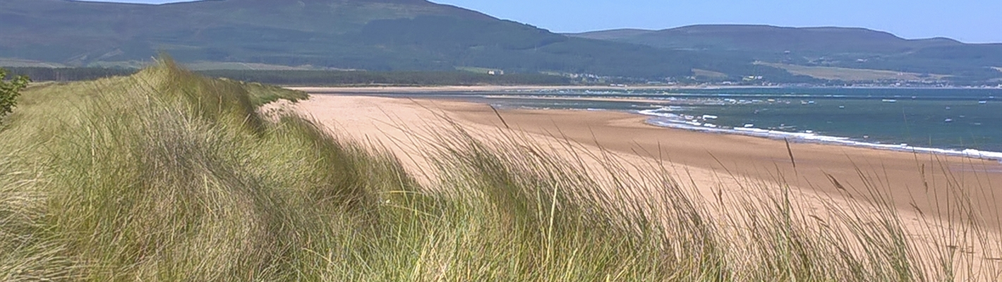 Sand dunes at Coul Links
