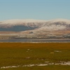 Creating a nature reserve in less time than it took to write Lord of the Rings