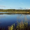 Habitat creation at Lochwinnoch