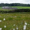 Tackling mental health with the National Rural Mental Health Forum