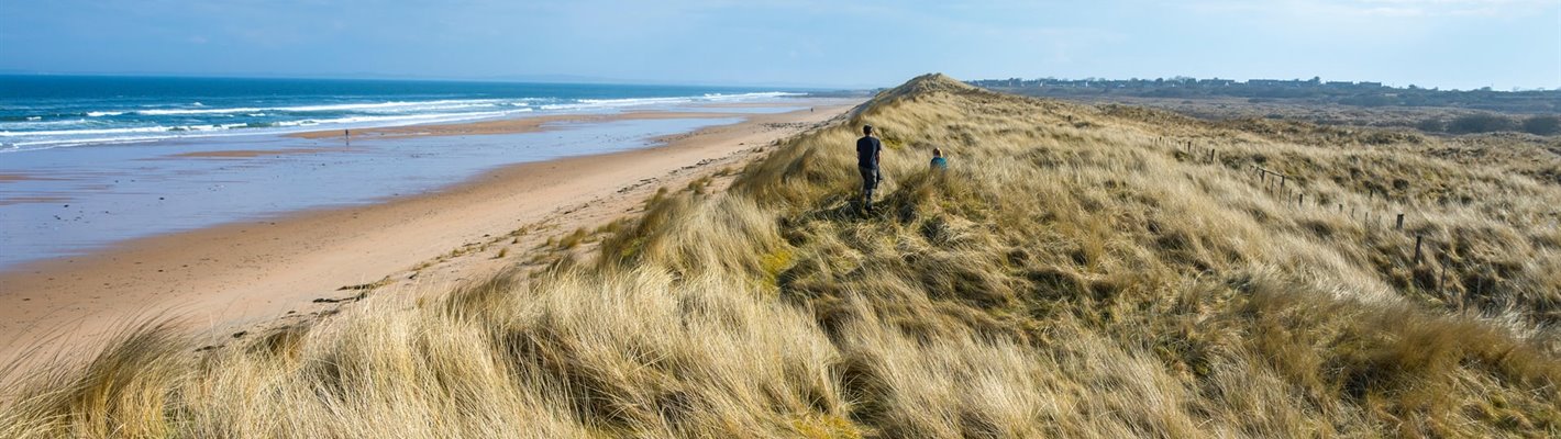 Special conservation status of Trump golf dunes to be revoked.  Can we make Scotland’s environment great again?  #SaveCoulLinks
