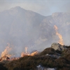 Fire and smoke on a heathery landscape.