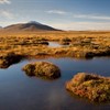 A taste of Scotland&#39;s wild places