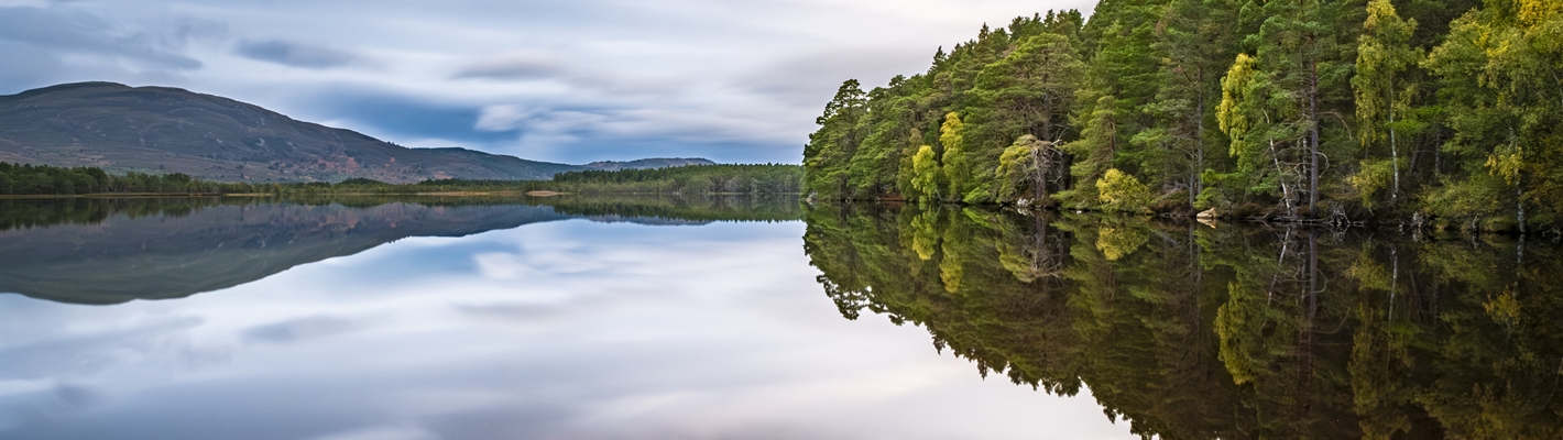 Reflections of trees and mountains on the still surface of Loch Garten.