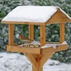 Look after wildlife in the winter garden