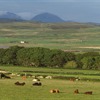Nature friendly farming on Islay